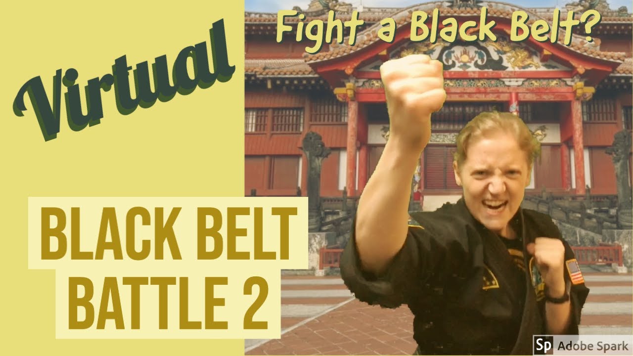 Want to Fight a Black Belt? Virtual Interactive Black Belt Battle 2