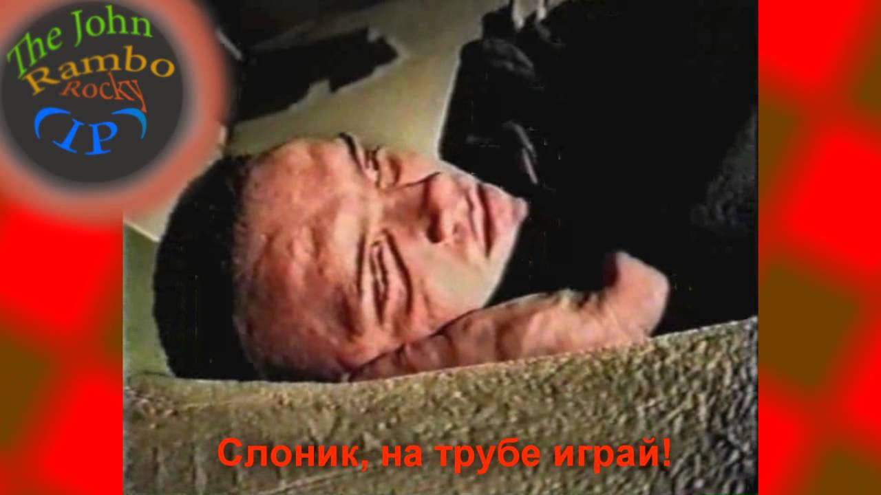 Слоновый шансон | MMV