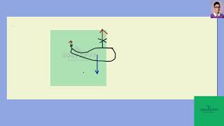 [Physics] Why does a typical small helicopter with a single main rotor have a second small rotor on