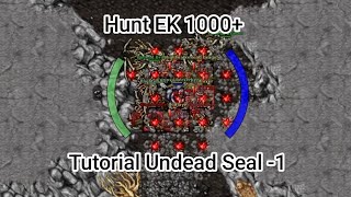 Tibia EK Tutorial - How to Hunt Undead Seal -1