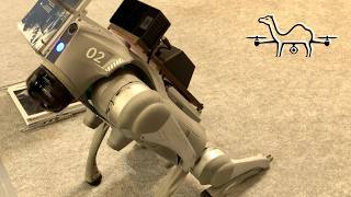 INTERGEO 2025 Frankfurt | Raw Walkthrough | Surveying & Geospatial Technology | 4K