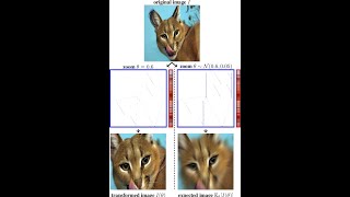 10 minutes paper (episode 14); A Data-Augmentation Is Worth A Thousand Samples