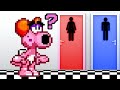 Birdo's Gender