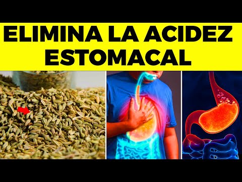 La Guía de las Vitaminas