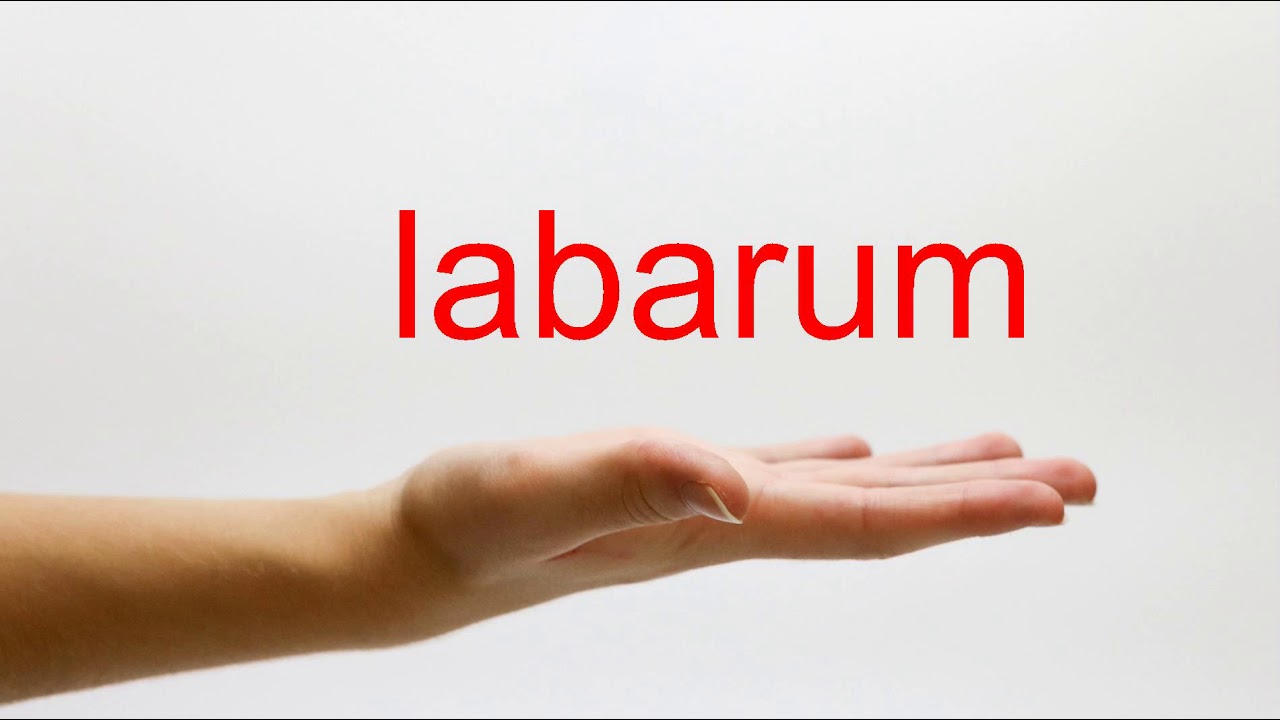 How to Pronounce labarum - American English