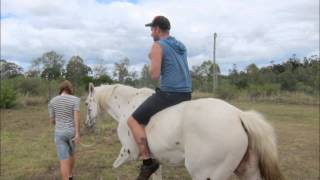 Horse Riding Motion Movie by Troy