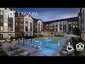 Tacara at Steubing Heights (with Audio Description) | San Antonio TX Apartments | Greystar
