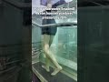 Unveiling the Wonderful Uses of the Underwater Treadmill