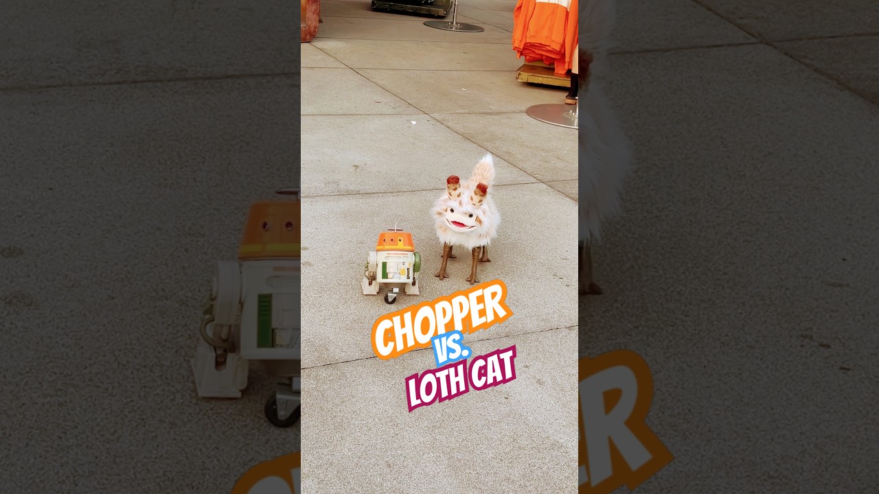 Disneyland:  Chopper vs. Loth Cat! 