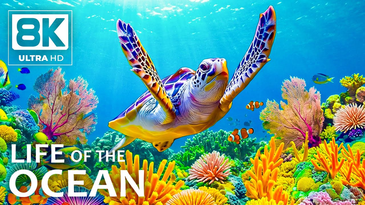 Immersive Ocean Experience 8K ULTRA HD – Beautiful Sea Life Flowing in Endless Blue