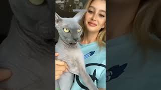 Funny Pets 🐱 kitten meowing 😅 # Part 5343