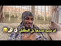 مع ام محمد ماراح تطفش | عندها الحل 😂🔥