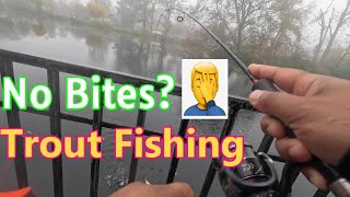 not getting trout bites? try this for stocked trout