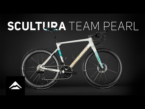 SCULTURA TEAM – PEARL EDITION