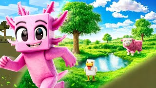 Minecraft, But COLOR = More Realistic!