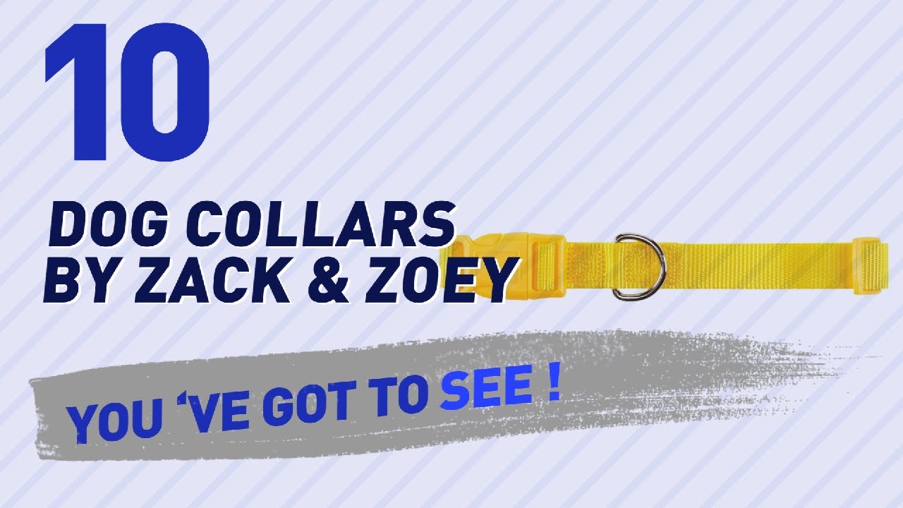 cats inn Dog Collars By Zack & Zoey // Top 10 Most Popular