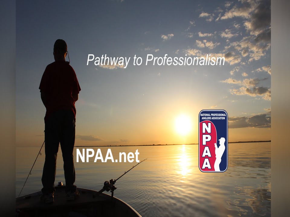 Pathway to Professionalism