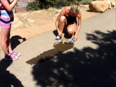 camera iphone 8 plus apk Random squirrel drinking water at Grand Canyon