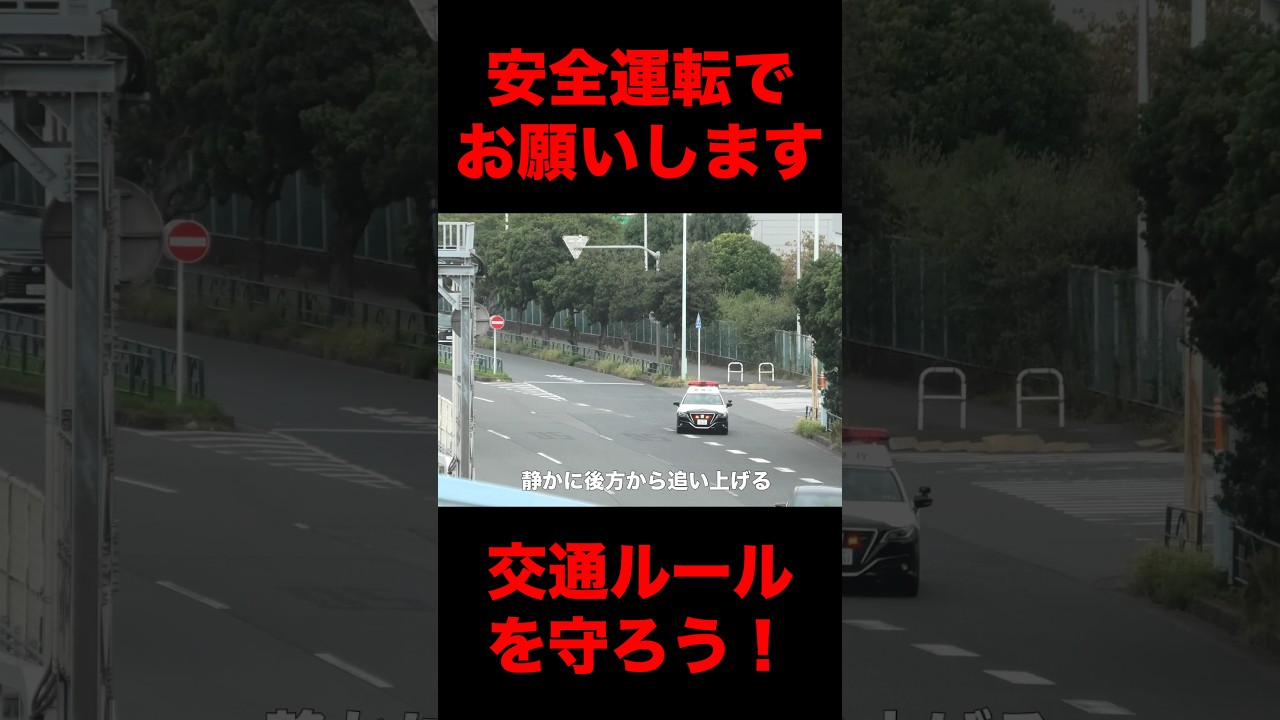 Is this how they normally drive?! The fate of an imported car that