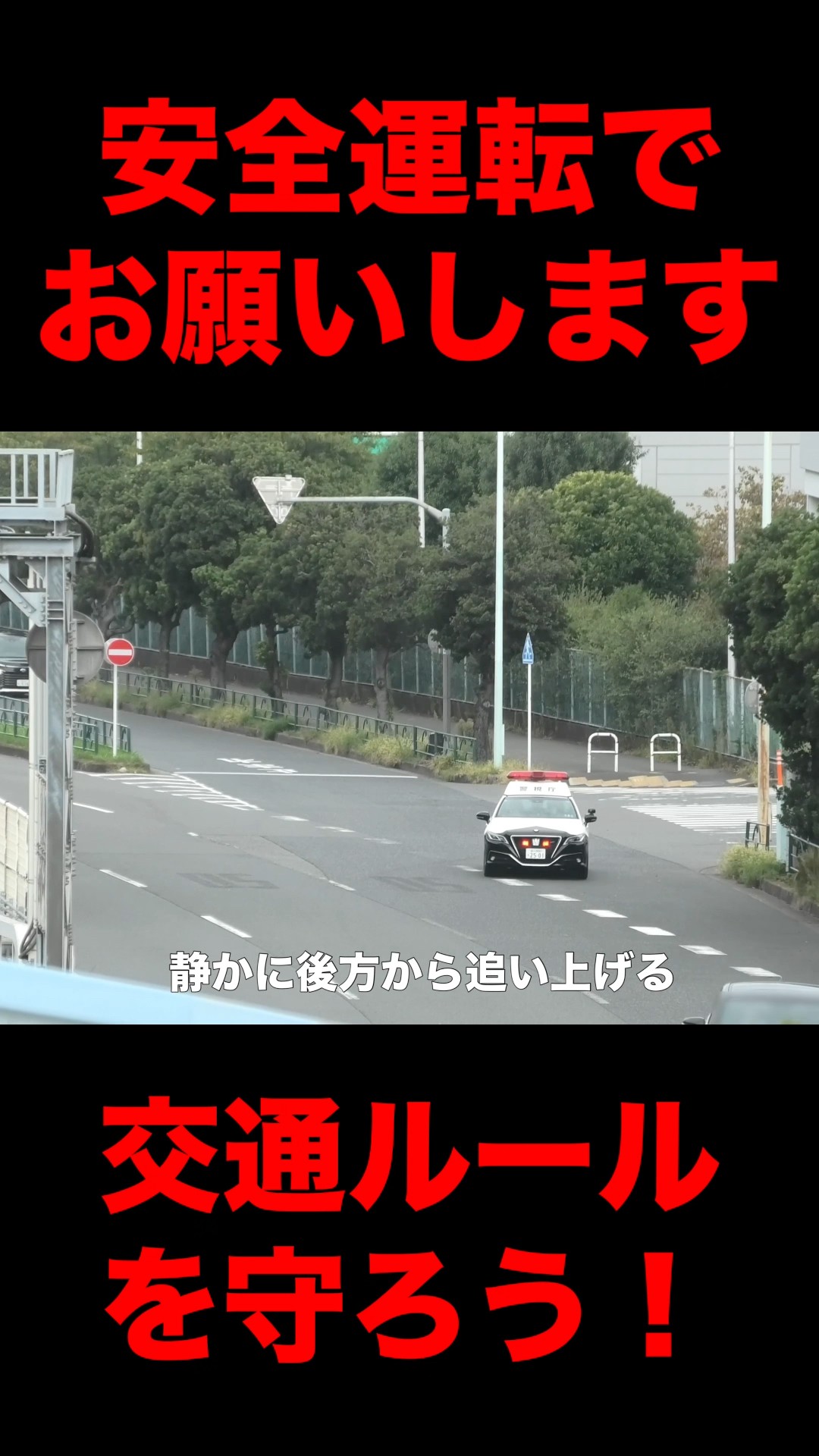 Is this how they normally drive?! The fate of an imported car that