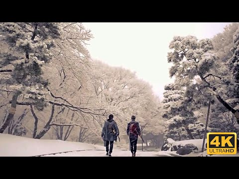 周杰倫Jay Chou(ジェイ・チョウ)【等你下課Waiting For You (with 楊瑞代 Gary)】(君を待っている) Official MV [4K]
