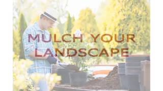 Landscape Design in Las Vegas - Tips for Sustainable Gardening