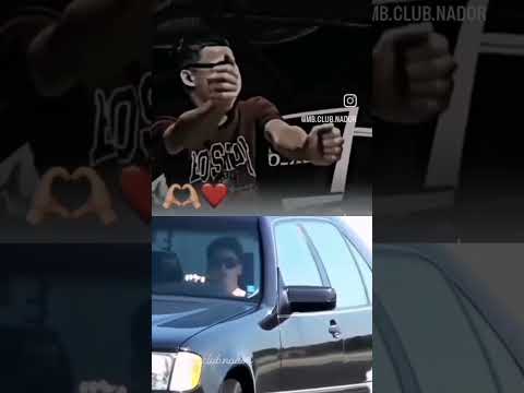 حمقاتو هبلاتو    