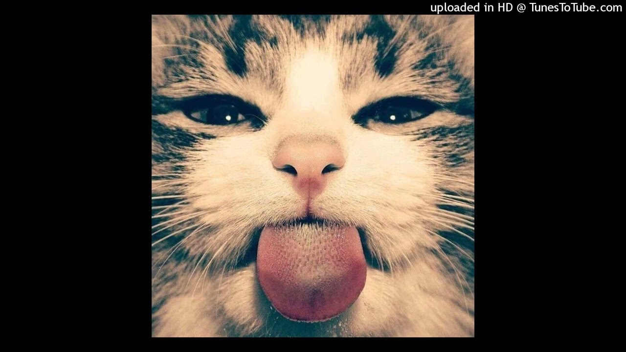 [free for profit] урал гайсин + мистер модератор + chiptune + нарратор type beat - "goodizer"