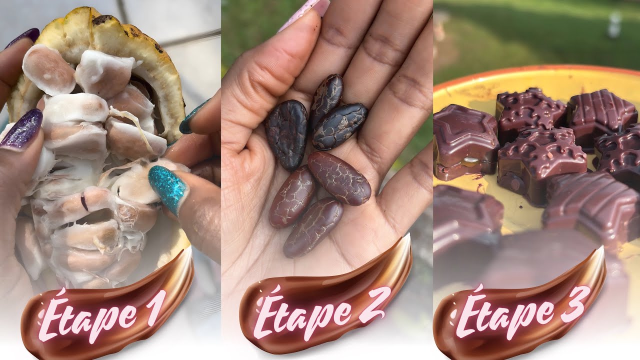 🍫 Comment faire son propre chocolat de A à Z à la maison 🤯 !? #chocolat #DIY # cacao