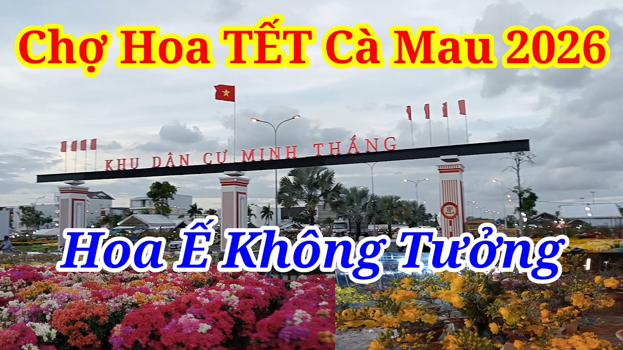 TẤT TẦN TẬT Chợ Hoa Cà Mau TẾT 2026 Người TRÚNG MÁNH Kẻ ÔM XÔ