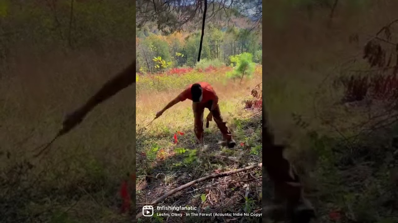 Making a Mock Scrape | Rutvember is Here | East TN Deer Hunting | The Rut | Short