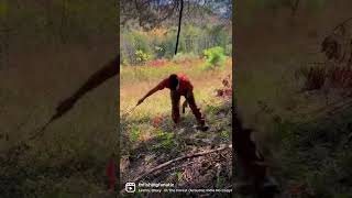 Making a Mock Scrape | Rutvember is Here | East TN Deer Hunting | The Rut | Short