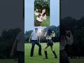 【1日で100万回再生】TikTok裏側 Tiktokerの公園の遊び方【流行Dance】
