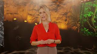 Gsxr Cat Finning Finrock