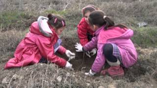 Kargida Öğrenci̇ler Protokol Üyeleri̇yle Bi̇rli̇kte Fi̇dan Di̇kti̇ - .Kargihaber