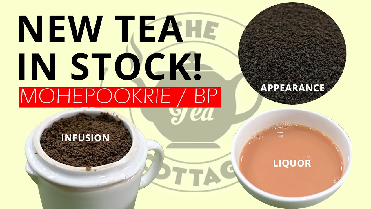 From Budget Sips to Bold New Flavors – Tea Cottage’s Latest Drop! 