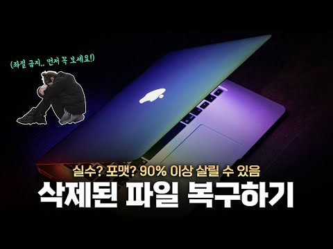 이 정도로 되는 건 처음 써 보네요 | 실수? 포맷? 성공률 높은 삭제 파일 복구방법