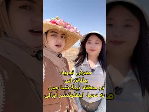 معرفی تجربه بیابانزدایی در منطقه نینگ شیا چین به محیا اینفلوئنسر ایرانی
