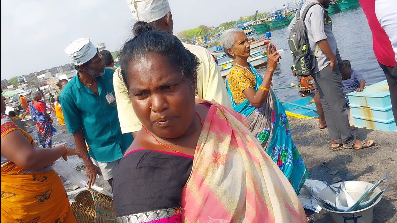 Bavani akka meen yaalam Kasimadu Mallipoo மீன் ஏலம் விடும் பவானி அக்கா ...