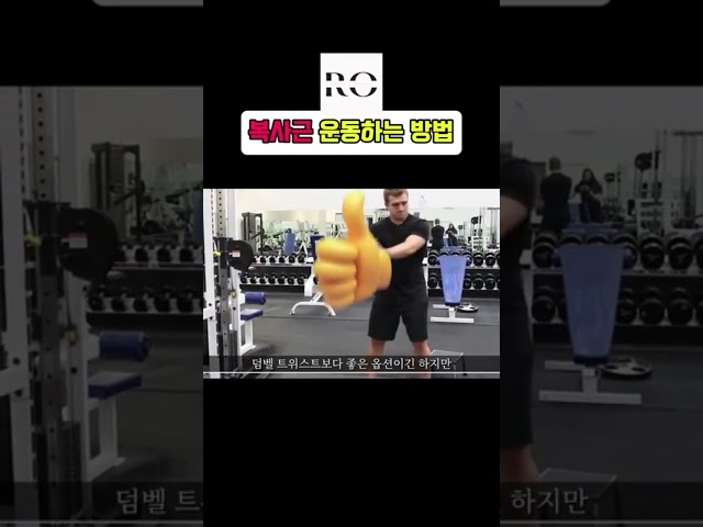 아가미같은 복사근 만드는 방법