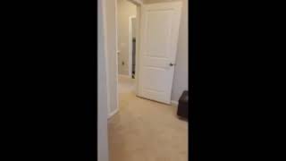 Virtual Open House - 4376 Turnworth Arch, Virginia Beach
