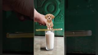 Big Sugar Magic VFX 😂 | Funny Viral Shorts