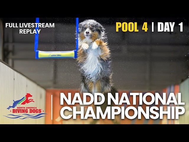 LIVE: NADD National Championship 2026 — Pool 4 | HydroDash & Air Retrieve