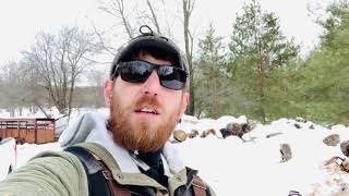 What does a tree service do in the winter?!