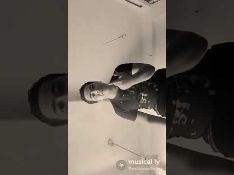 فين الصحاب يا