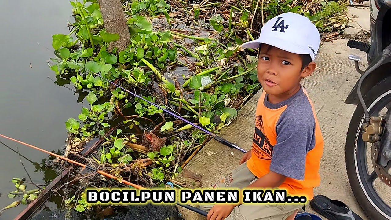 BANJIR MULAI SURUT‼️IKAN MAKIN KELAPARAN #fishing #mancing