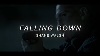 Shane Walsh Falling Down 4K