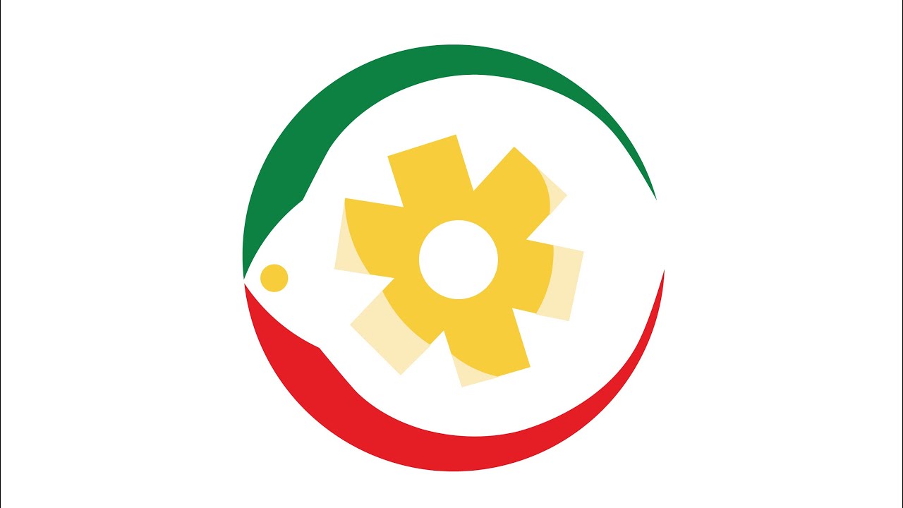 Outils de la surveillance de la mortalité