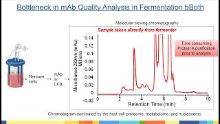 Proteoformic Approaches for Quality Analysis of Recombinant Therapeutic Proteins