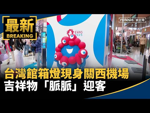 「台灣館箱燈」驚喜現身關西機場 吉祥物「脈脈」迎客｜#鏡新聞